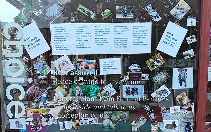 A decorated window with pictures of different animals.